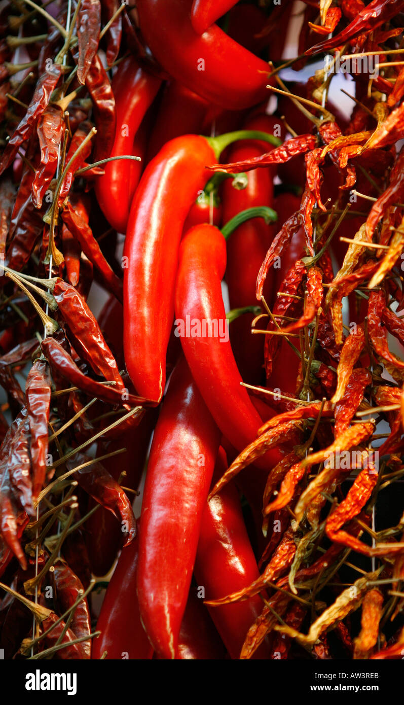 Market barcelona spain chillies hi-res stock photography and images - Alamy