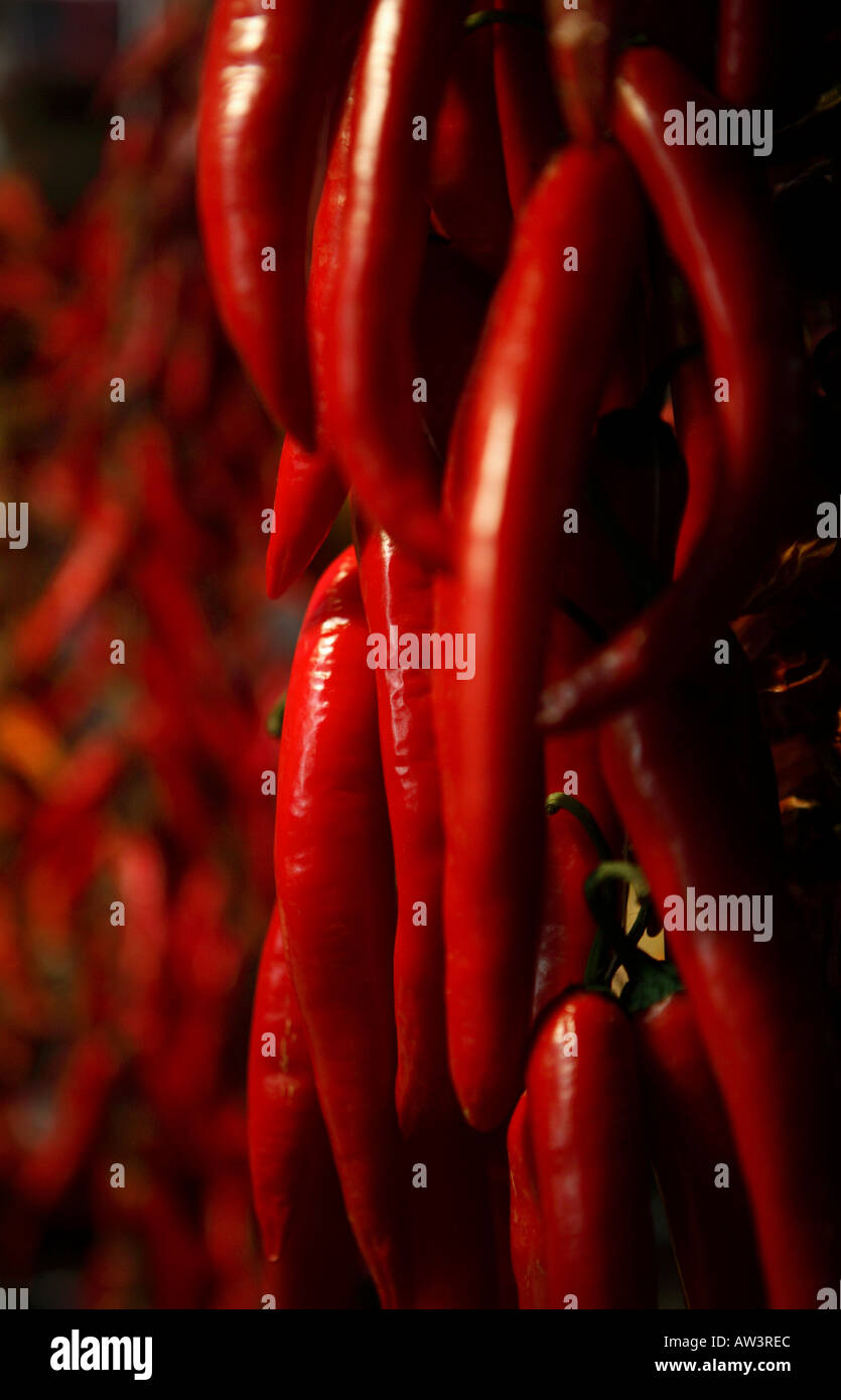 Market barcelona spain chillies hi-res stock photography and images - Alamy