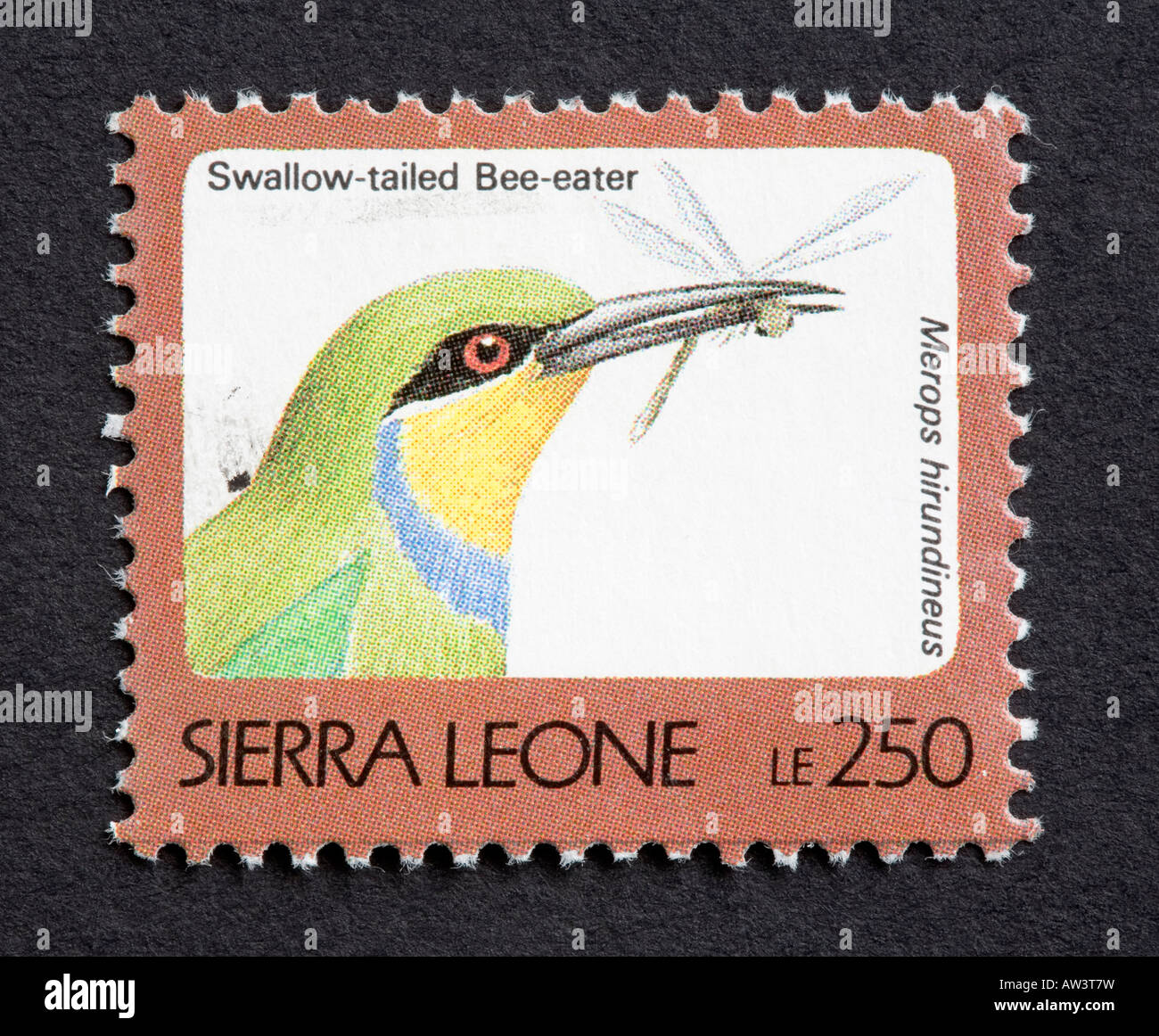 Sierra Leone postage stamp Stock Photo - Alamy