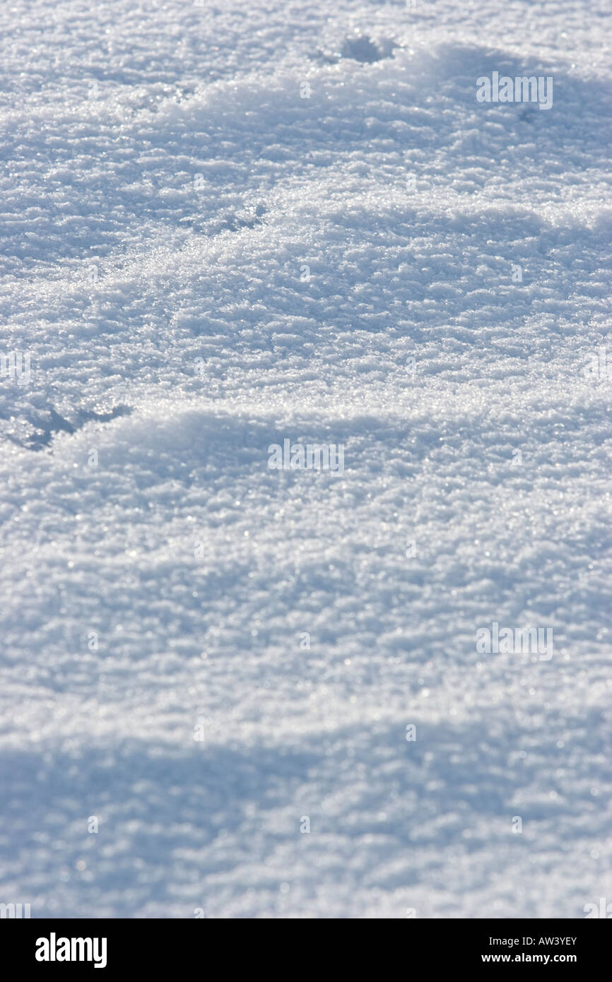 North America Idaho near Camas Prairie snow kite skiing Stock Photo