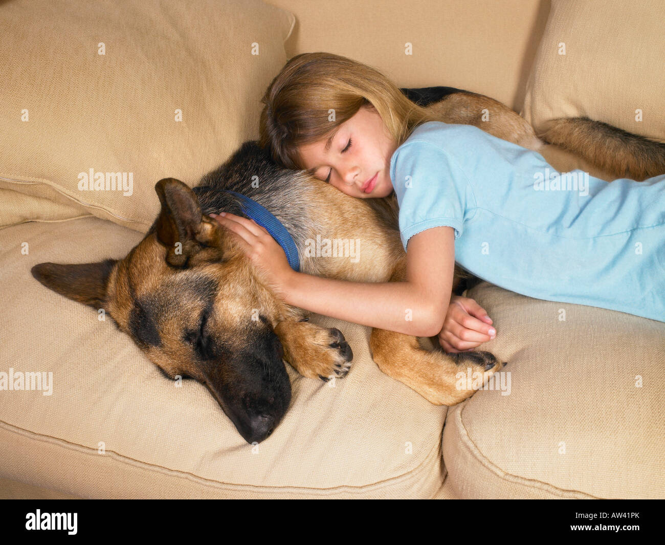 Young girl sleeping on her dog. Stock Photo