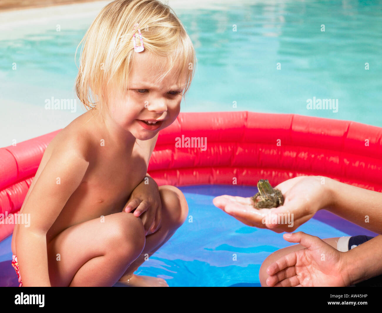 Little girl looking at a frog. Stock Photo