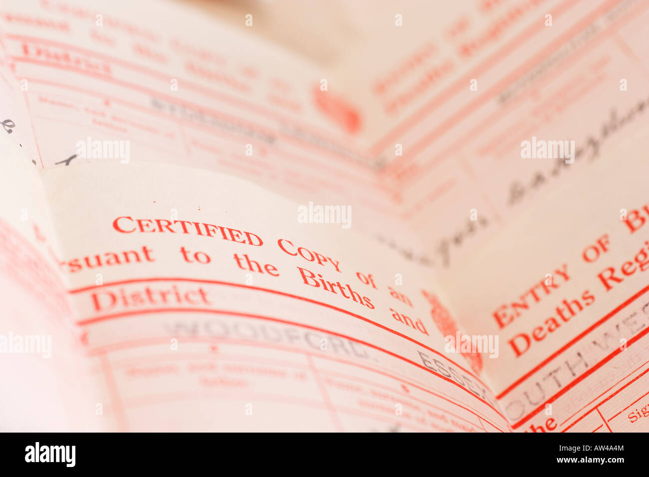 Birth certificate Stock Photo Alamy