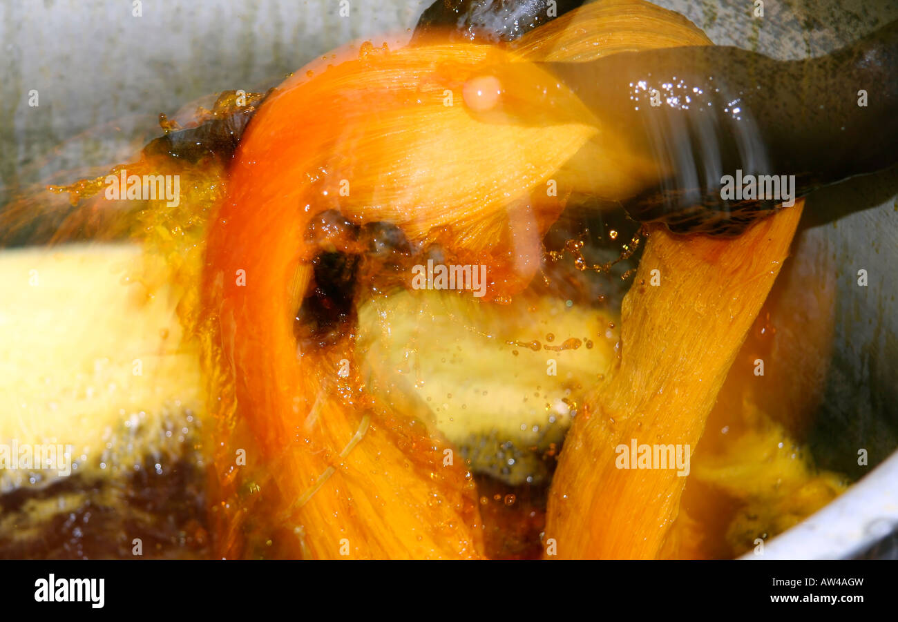 man wringing cloth during dyeing delhi india Stock Photo