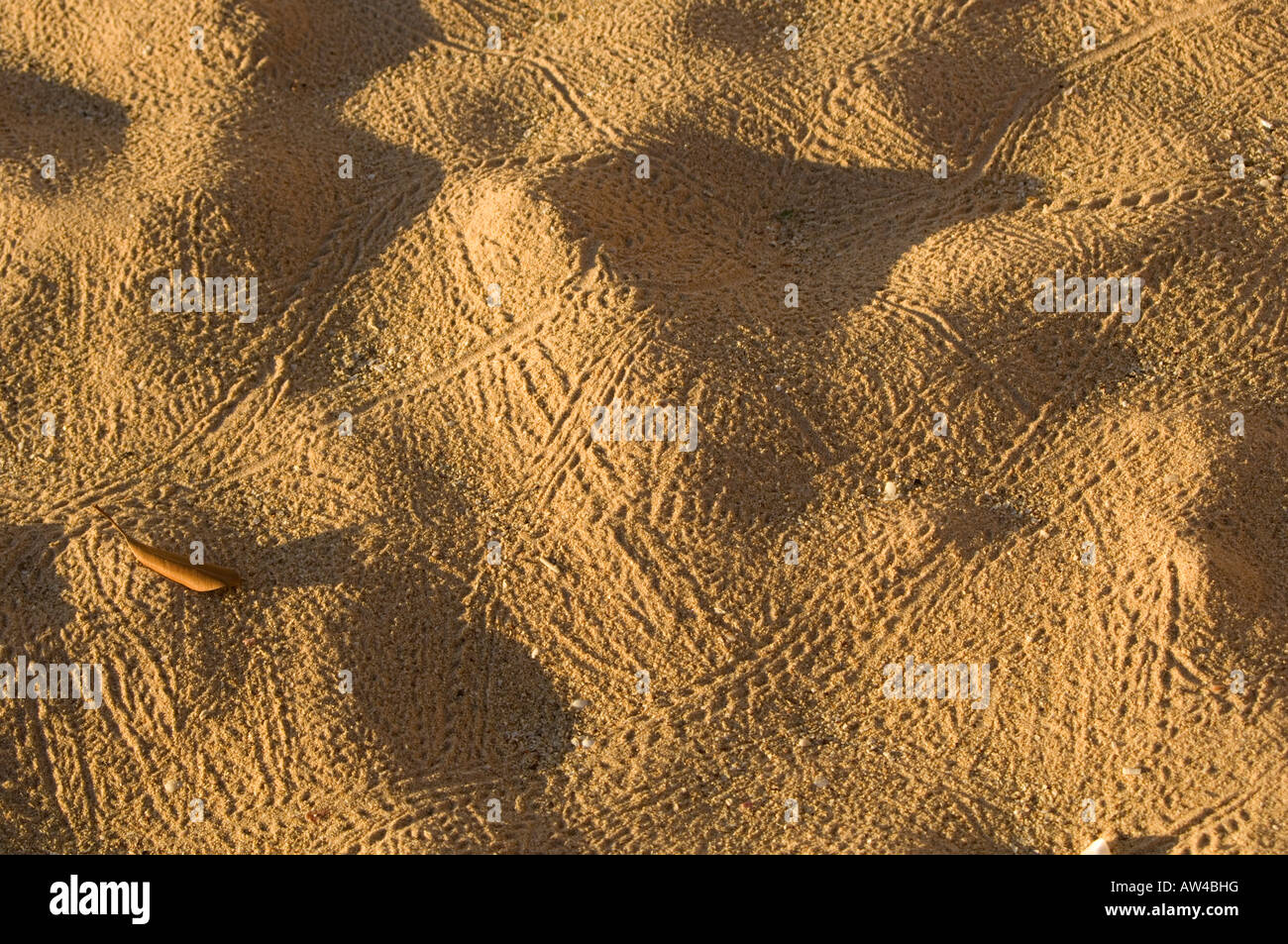 Hermit crab tracks in the sand, Wunumpurramurra, Kimberley, Western Australia Stock Photo