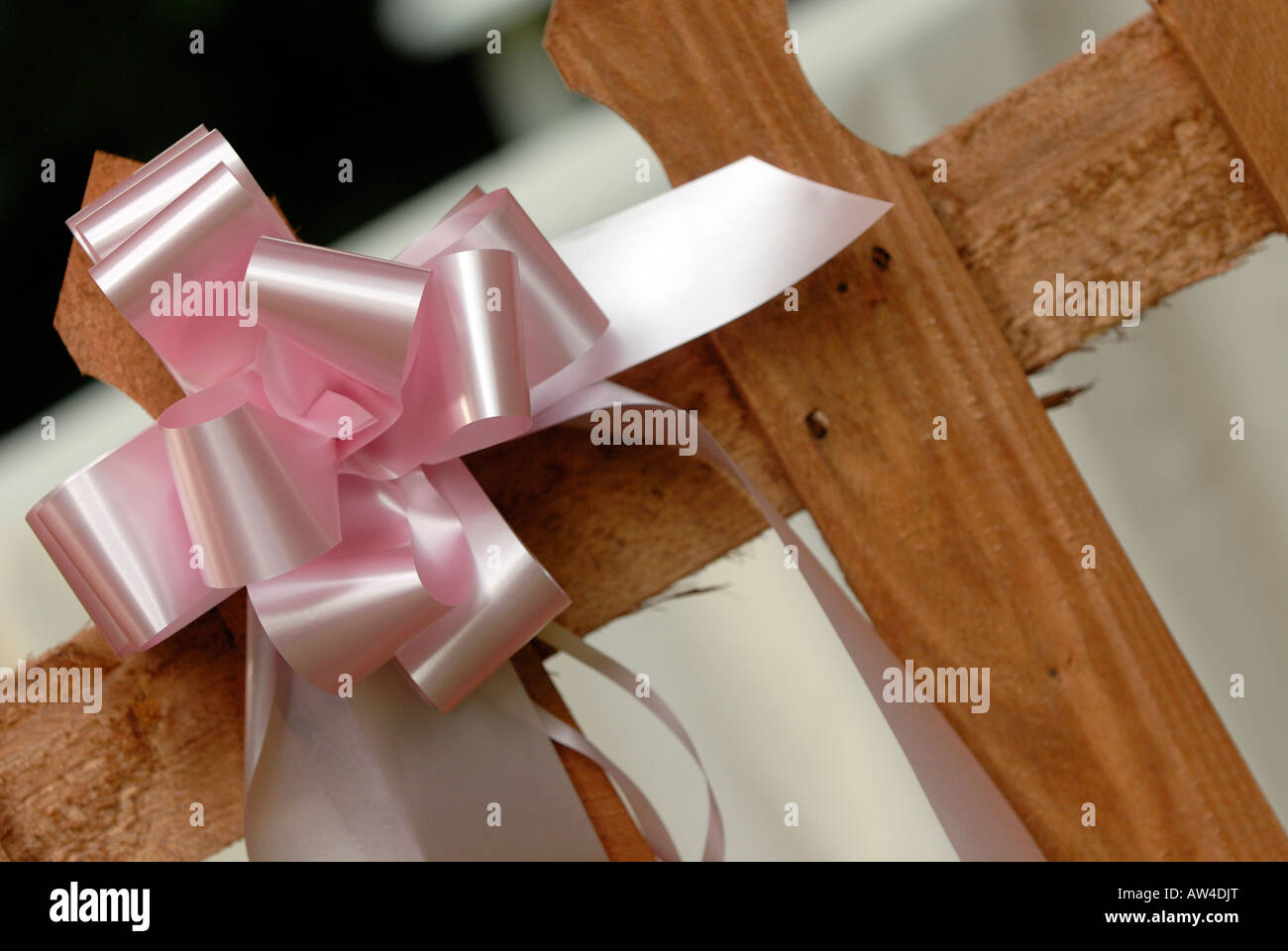 Partition Ribbon a pink ribbon bows bow tied ornamentally around a wooden fence ...