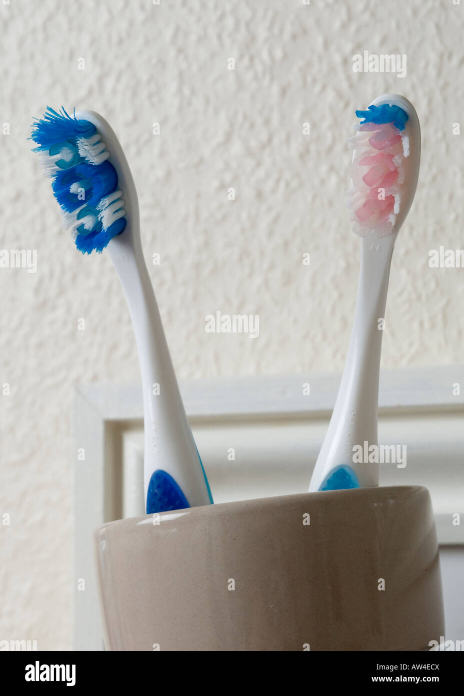 His and hers toothbrushes in holder Stock Photo