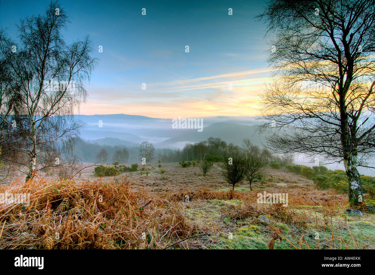 Sunrise near Leigh Tor on Dartmoor with warm morning light and mist filling the valley beyond Stock Photo