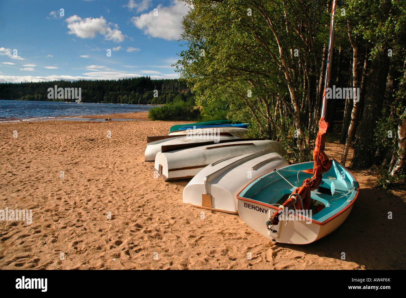 A row of dinghies lie on the sandy shores of Loch Morlich - Cairngorms,  scotland, Stock Photo