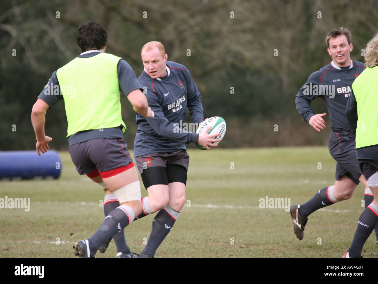 Welsh Rugby Union Training Ground Hensol Vale of Glamorgan South Wales GB UK 2008 Stock Photo