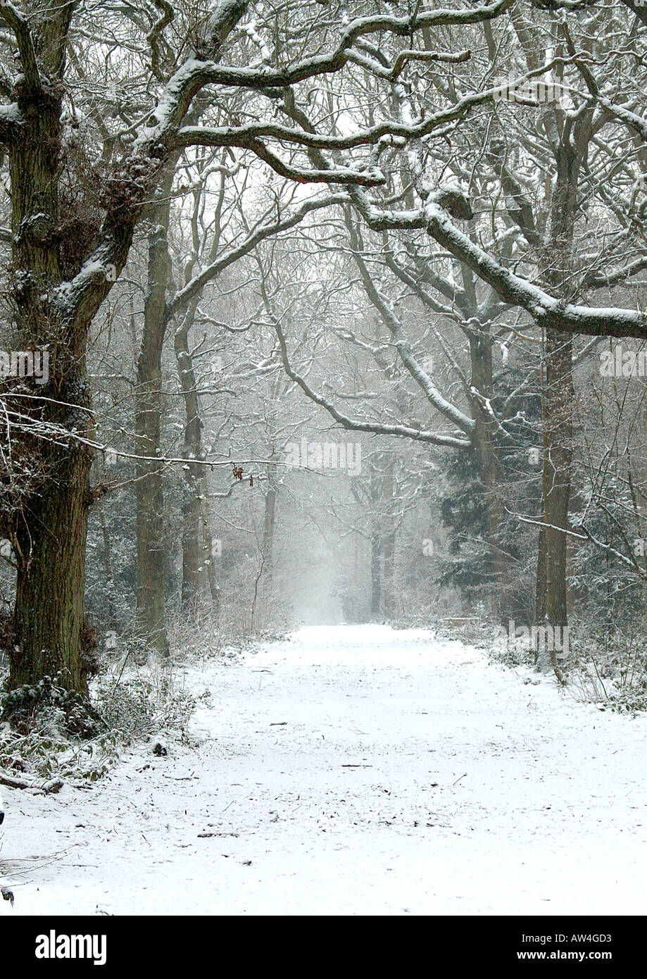 Kingswood in the Snow Sanderstead Surrey Stock Photo Alamy