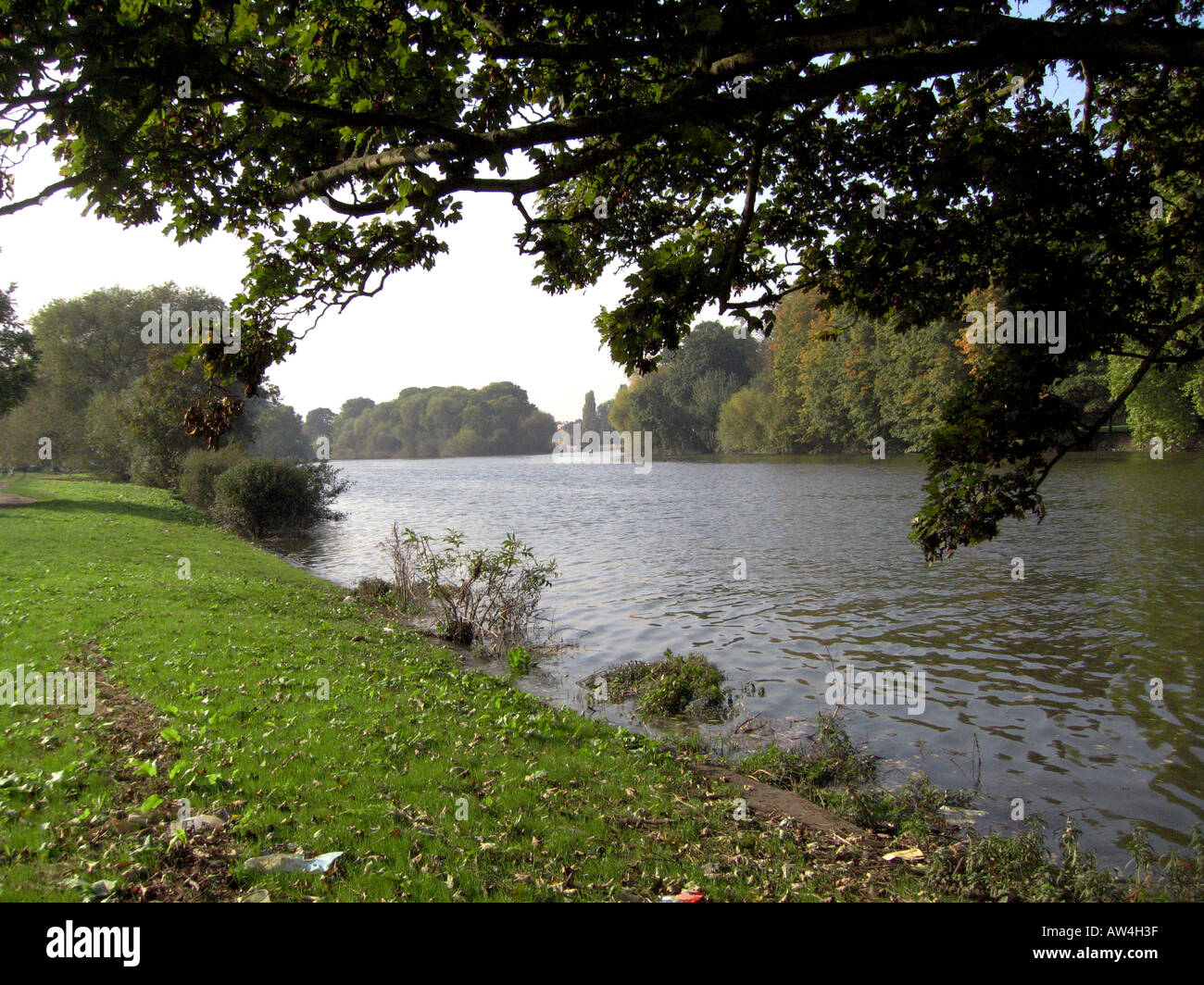 The River Thames at Ham Richmond Surrey Stock Photo