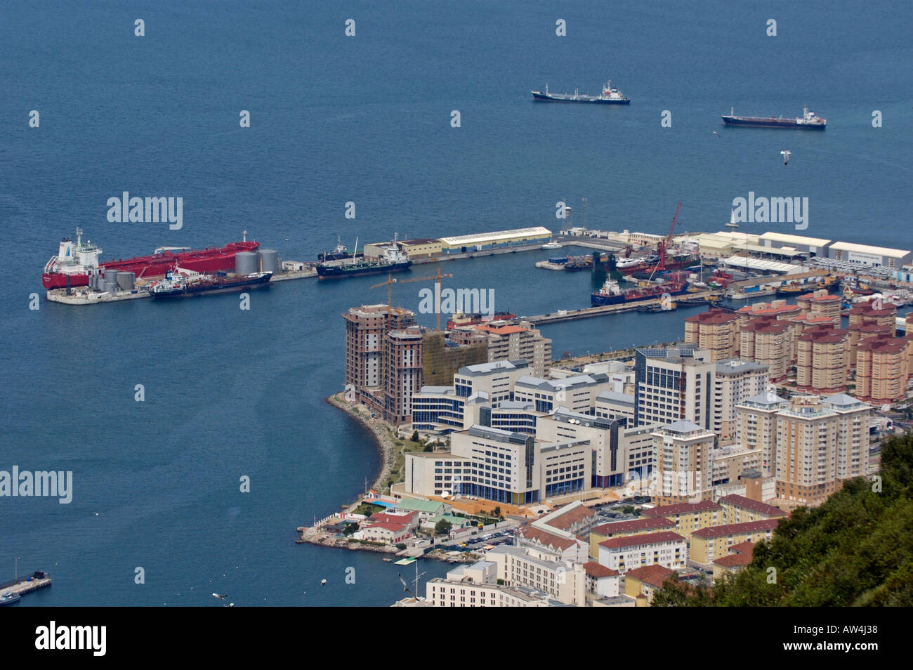 City Of Gibraltar And The Port Viewed From The Upper Rock Nature