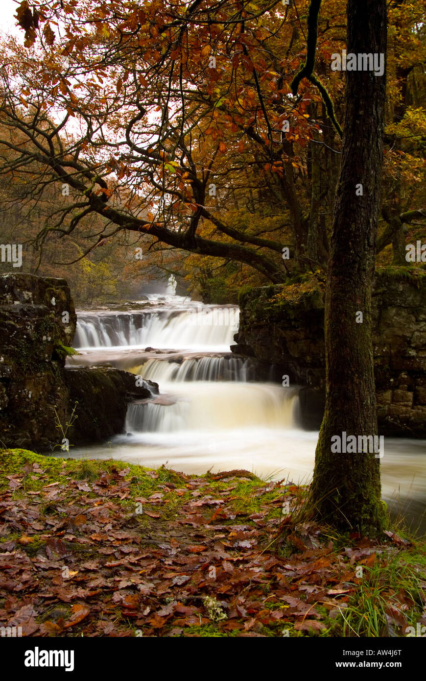 Autumn at the Horseshoe Falls, Pontneddfechan, Glyn Neath, South Wales