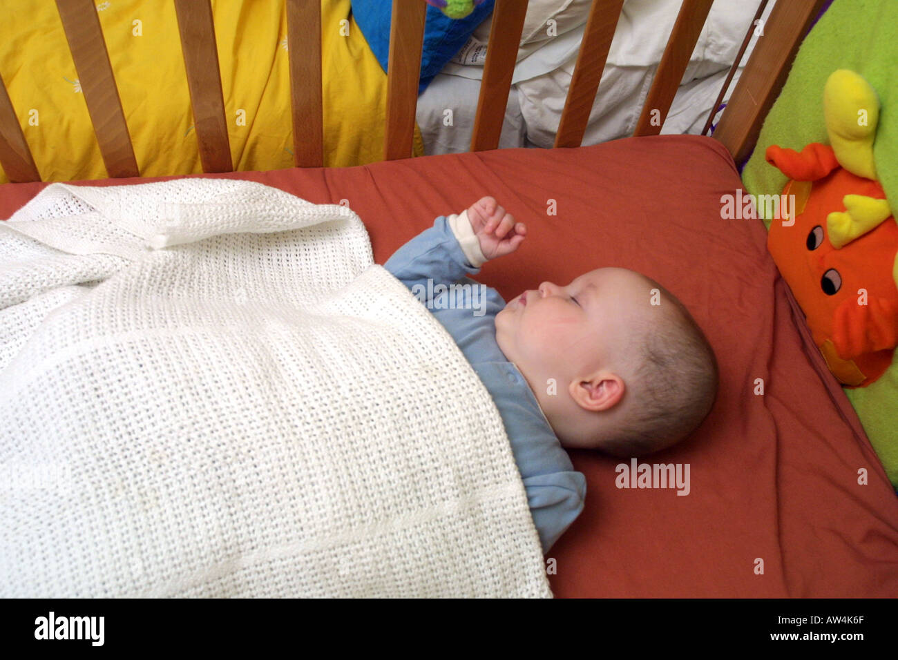 Five month old baby sleeping in a crib Stock Photo Alamy