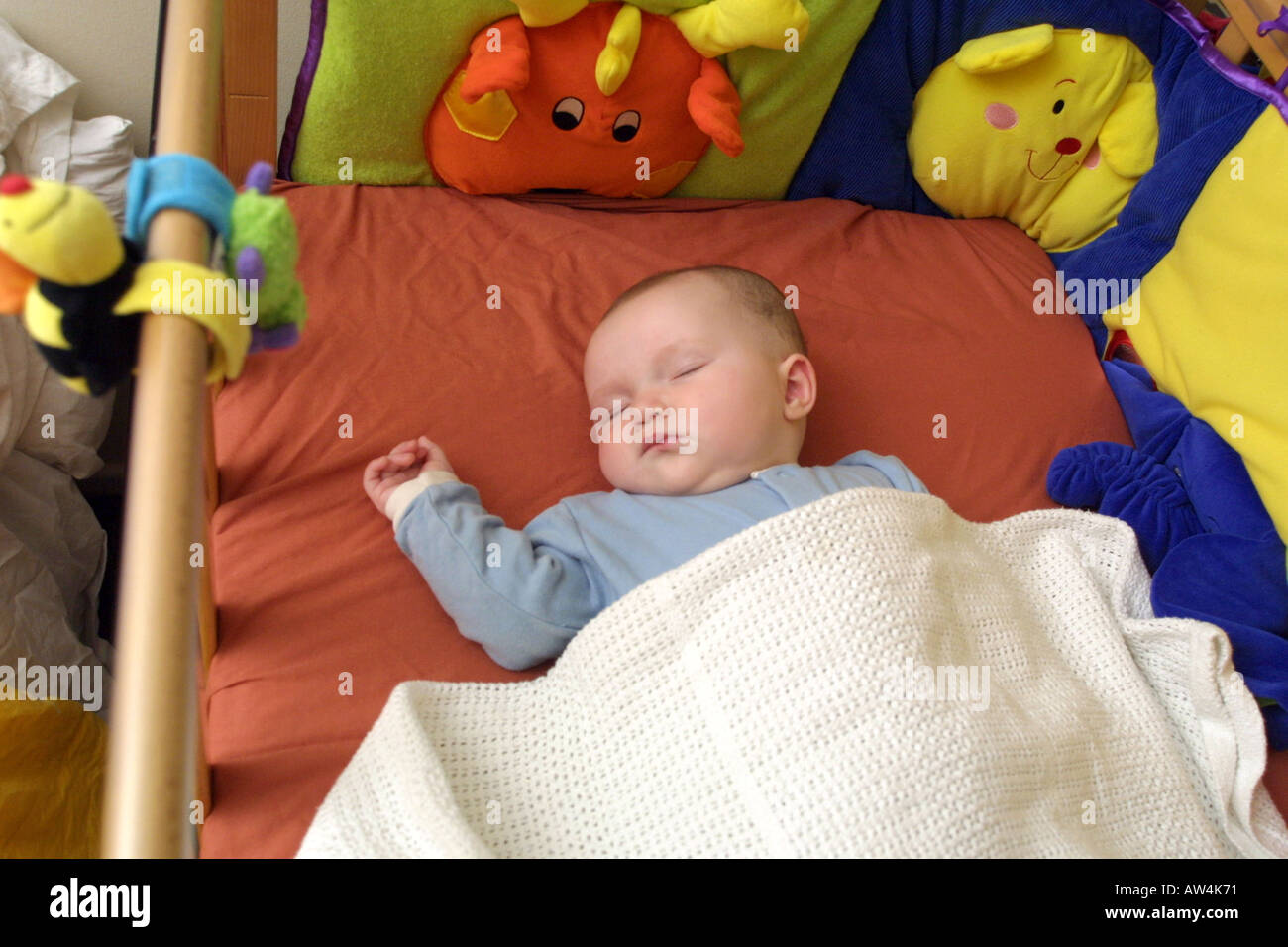 Five month old baby sleeping in a crib Stock Photo Alamy