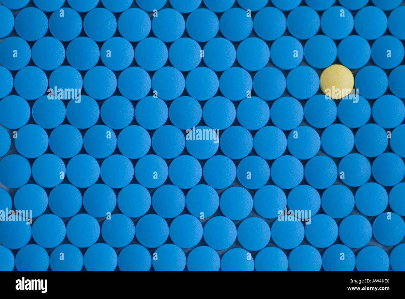 One yellow pill among many blue pills to differ to stand out chance probability clinical trial Stock Photo