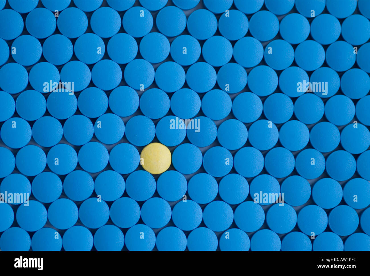 One yellow pill among many blue pills to differ to stand out chance probability clinical trial Stock Photo