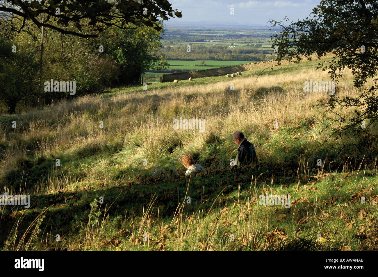 views from the cotswold way footpath as it passes through stanton