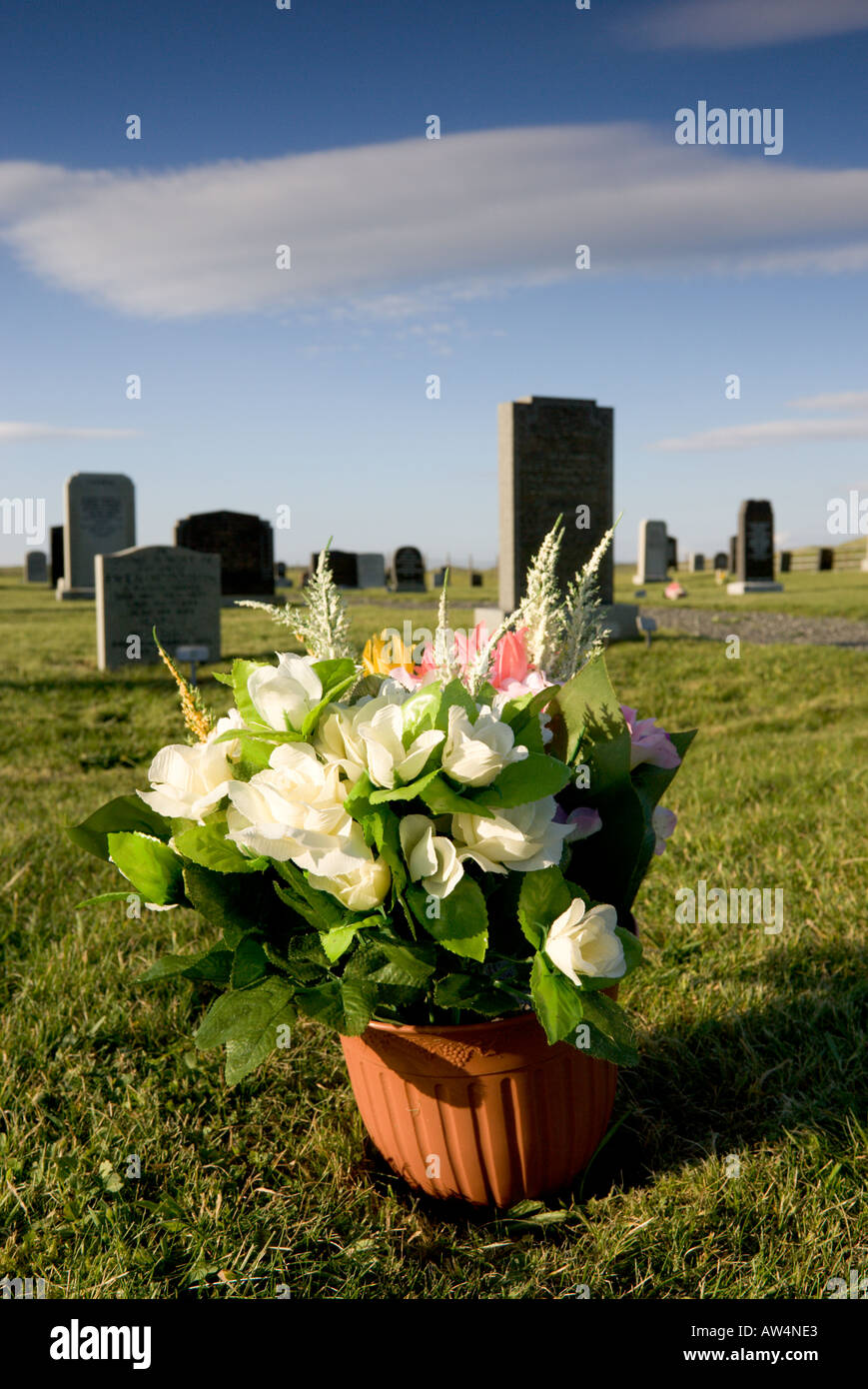 Grave pot hires stock photography and images Alamy