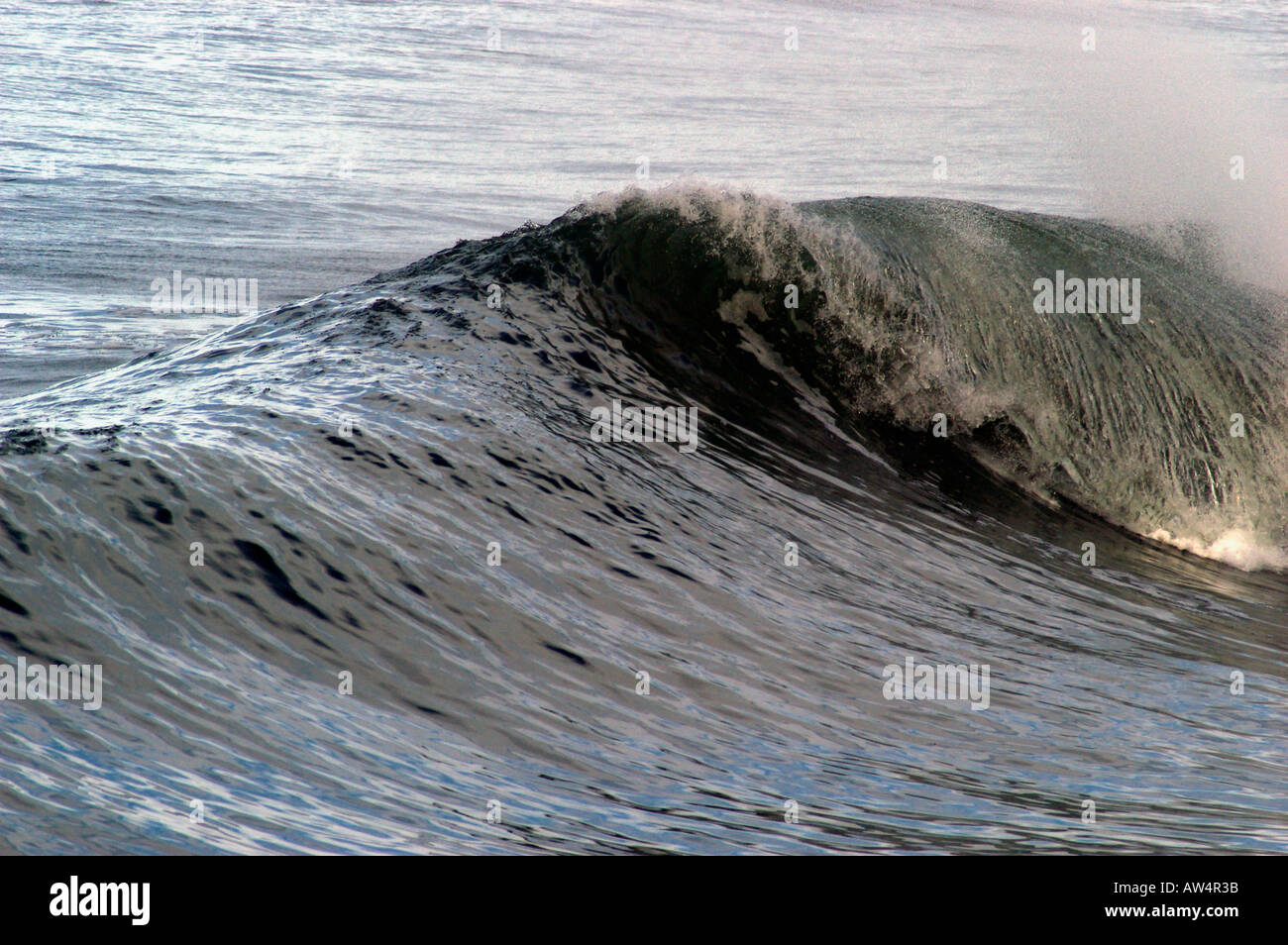 breaking ocean wave Stock Photo