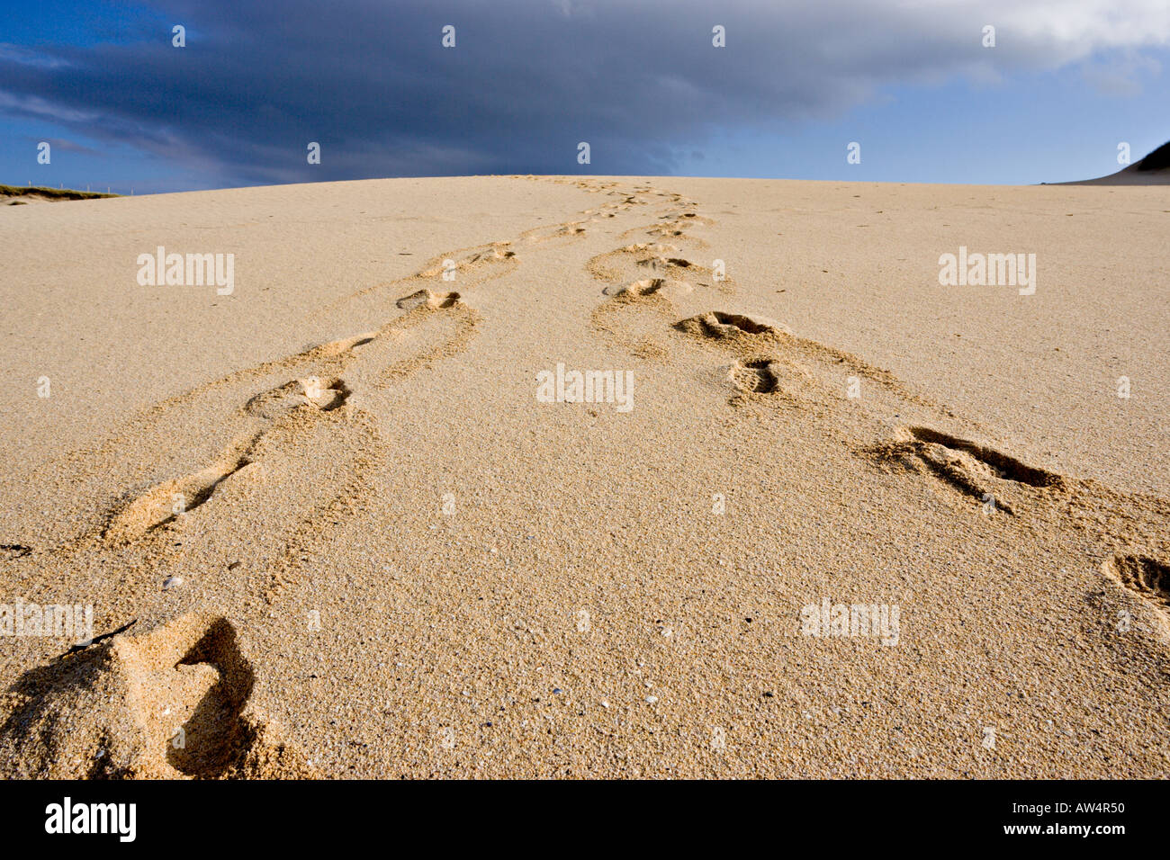 Two sets of footprints disappearing over the crest of a sand dune Stock Photo