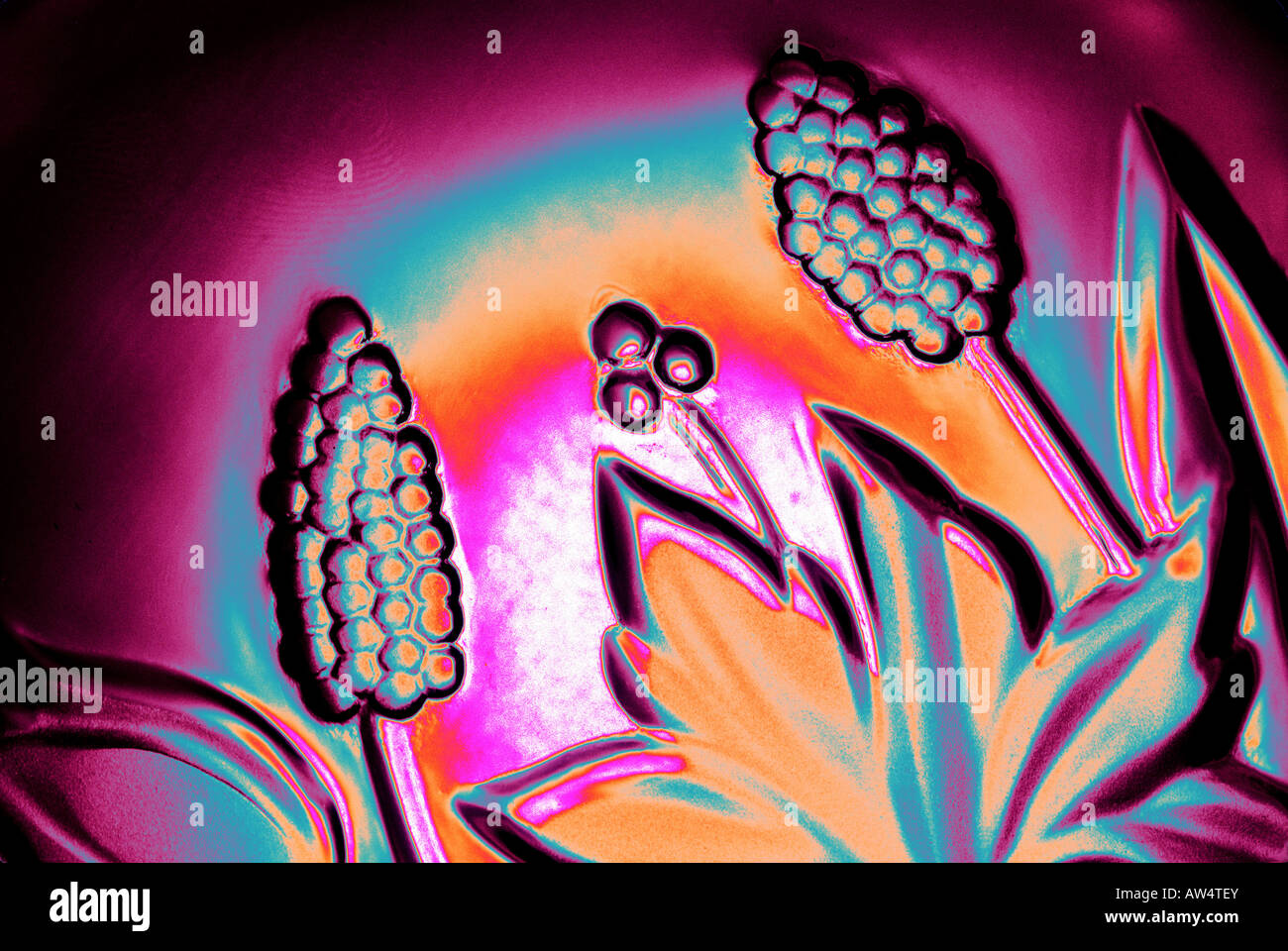 Waves of color glass crystal plant plants flower magic magical imaginary imagery flowers leaf horizontal backdrop yellow leaf Stock Photo
