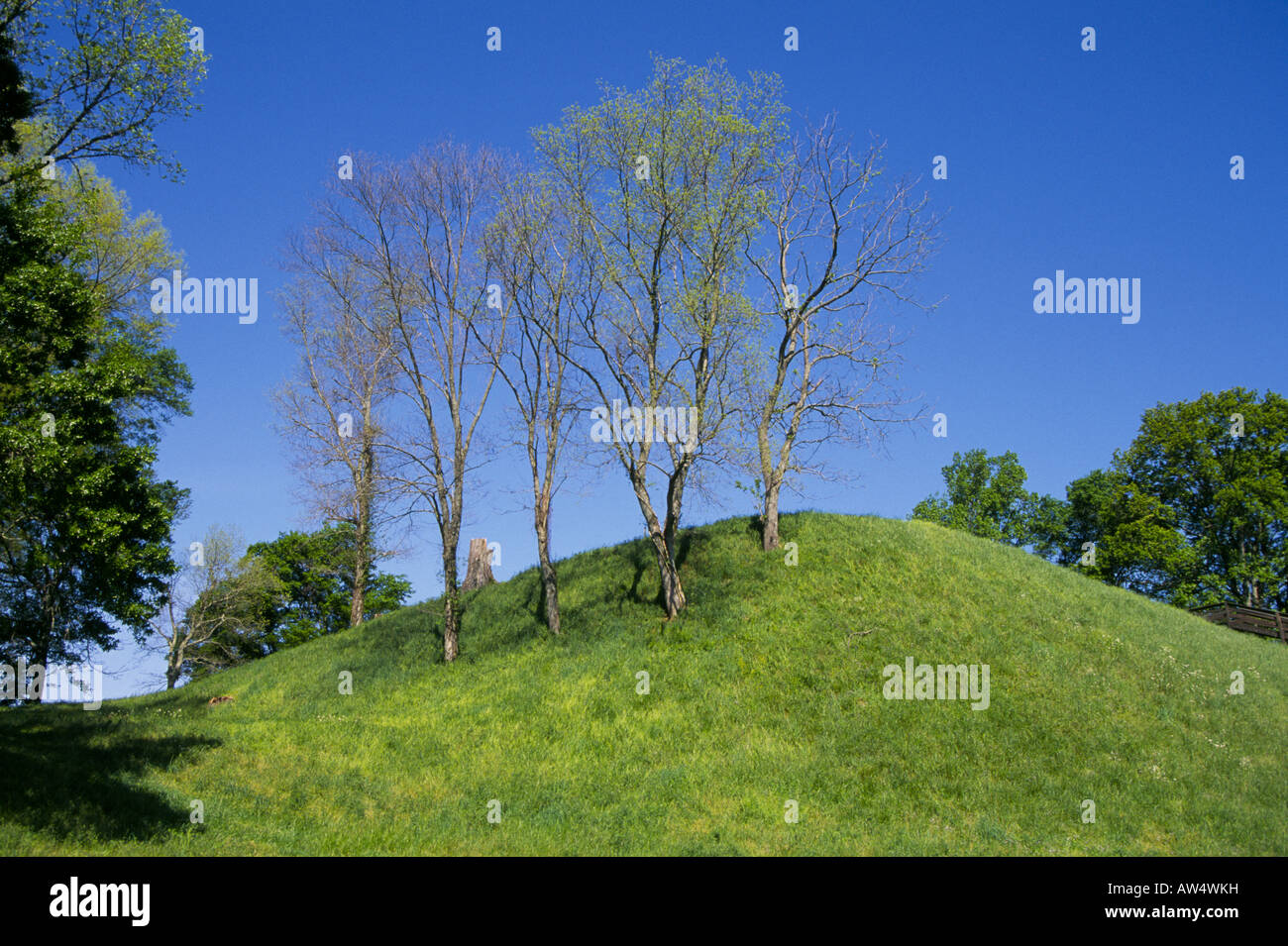 At Etowah Indian Mounds in Georgia, these mounds were built by the Mississippian Culture of native americans Stock Photo