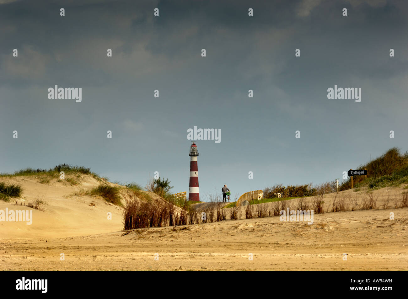 Landscape with lighthouse from island Ameland 2007 beachcomber with bicycle on dunes Stock Photo