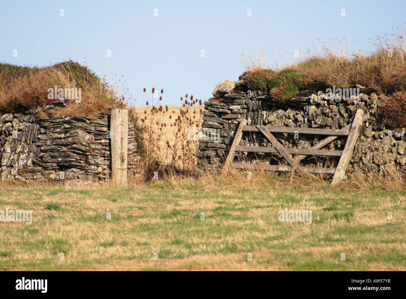 On Old field gate, resting Against a traditional Stone wall on the Cornish Coast Stock Photo