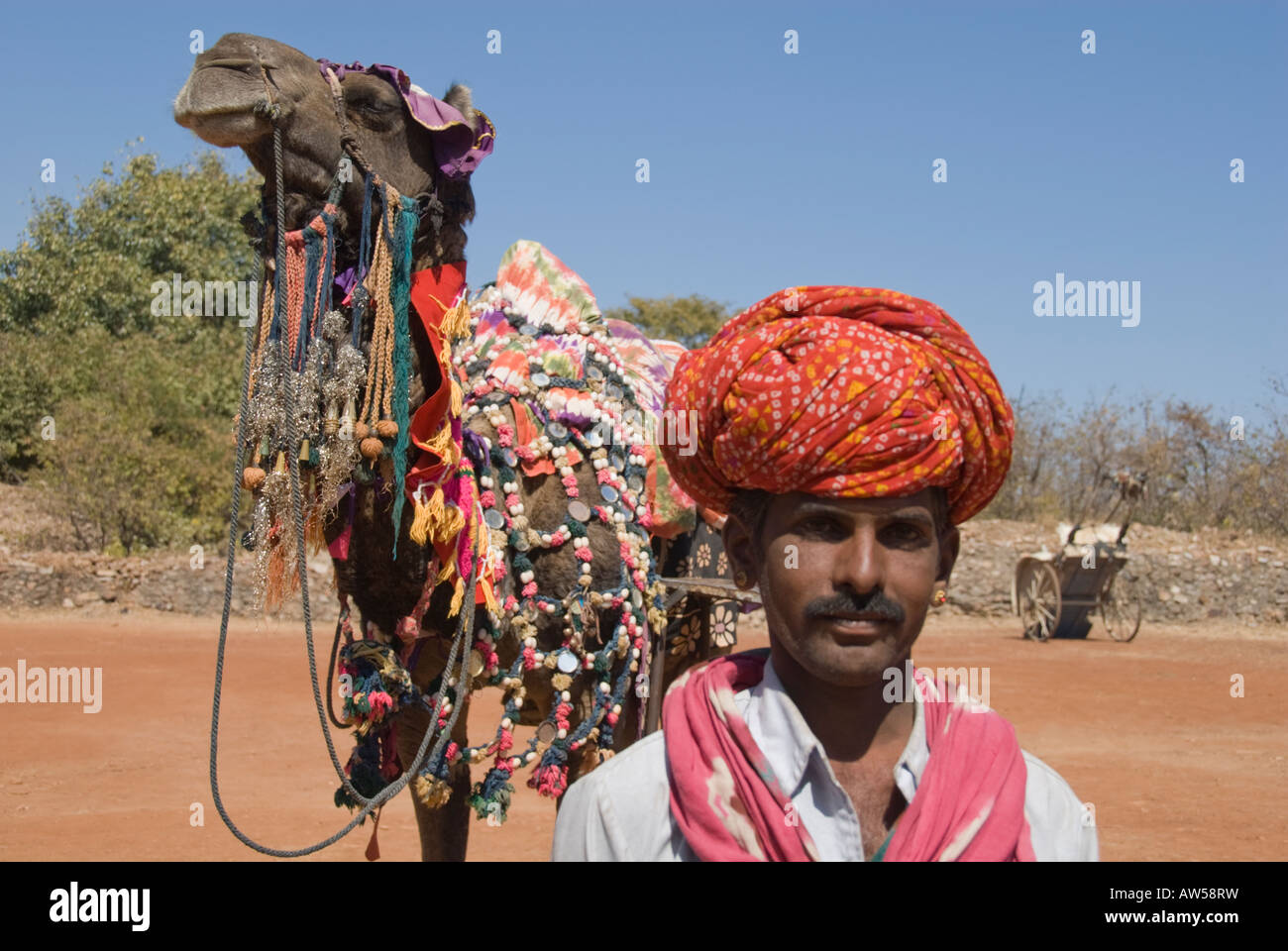 Portrait of a turbaned camel driver with camel and cart. Stock Photo