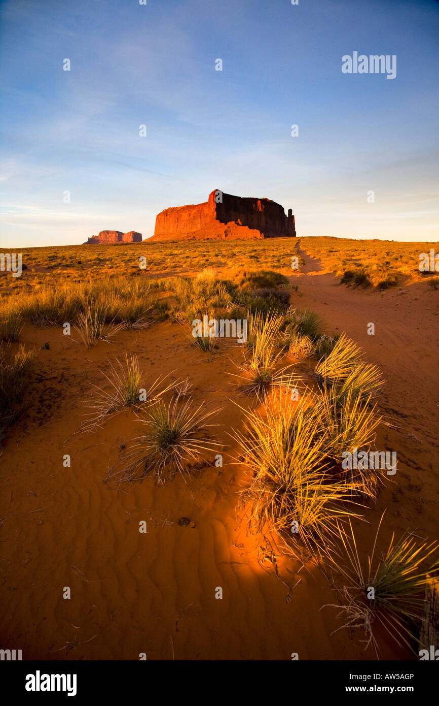 Low sun and desert grass Monument Valley Southern Utah USA Stock Photo