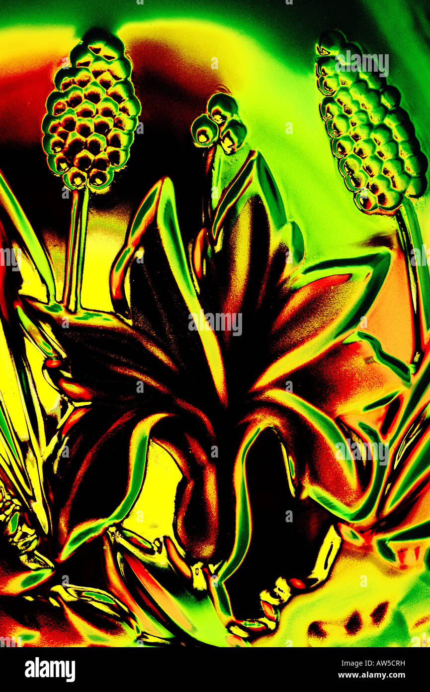 Abstract glow golden background hi-res stock photography and images - Alamy