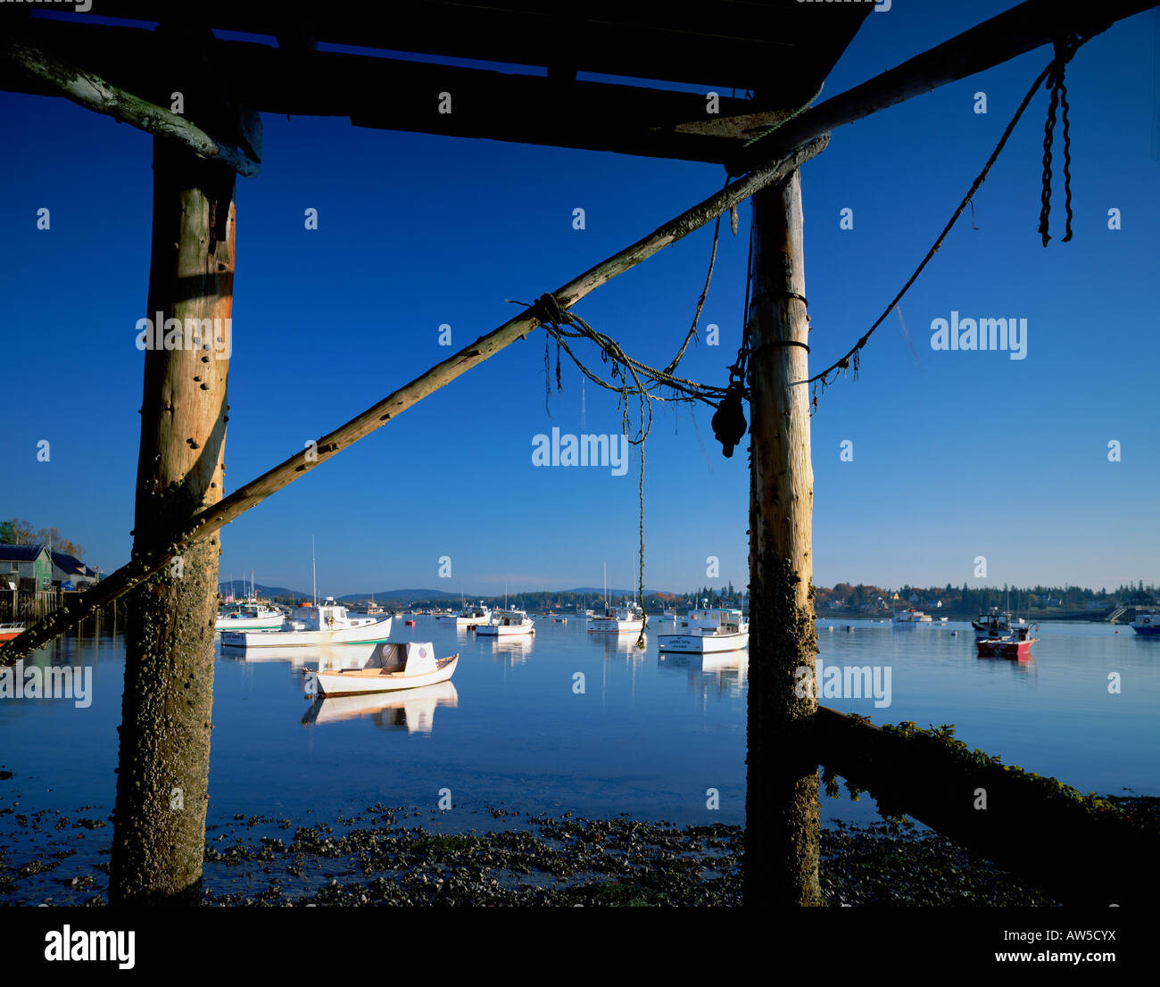 Bernard Harbor, Mount Desert Island Stock Photo Alamy