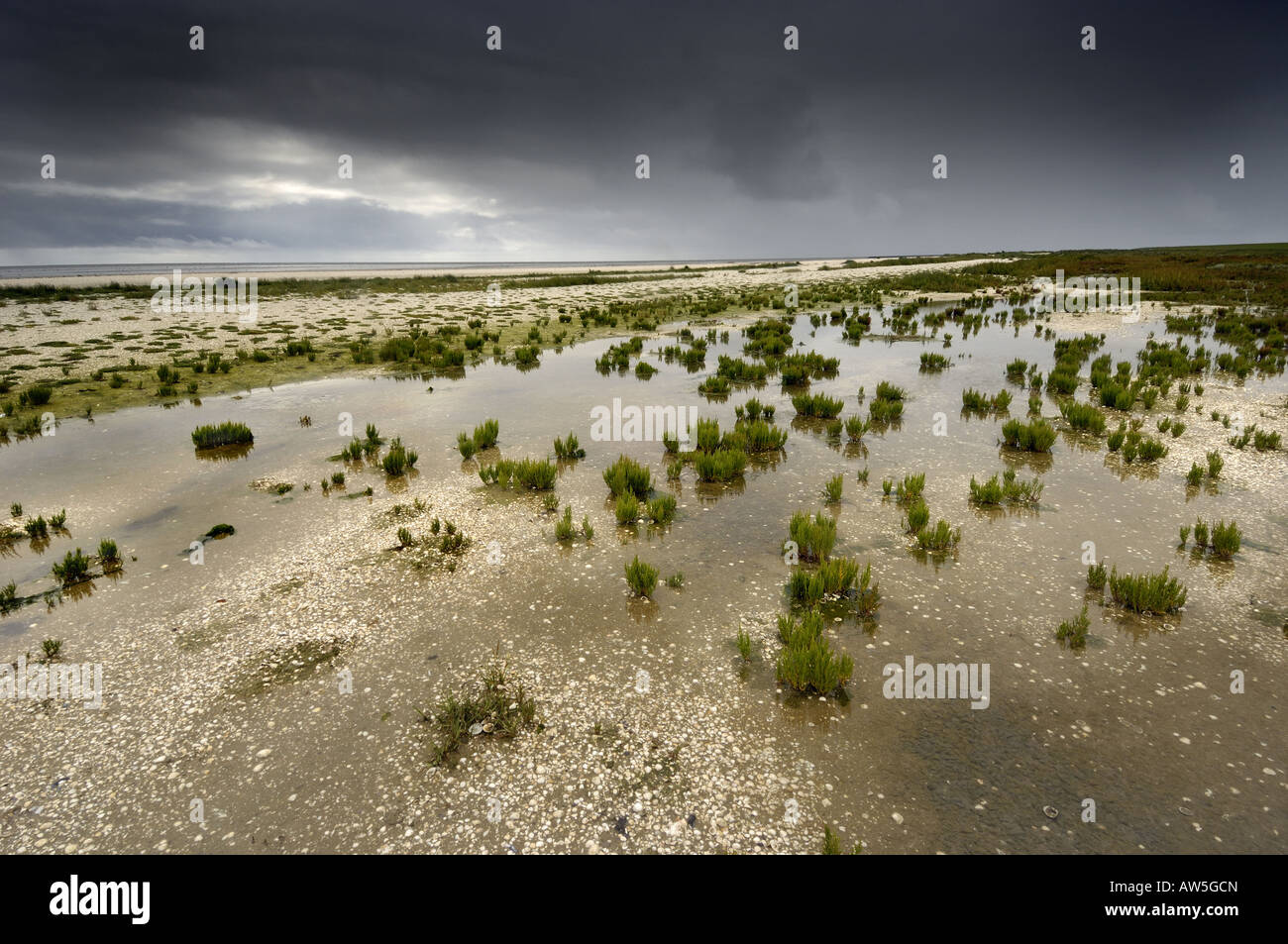 Landscape on island Ameland Waddensea overcast beach view Stock Photo