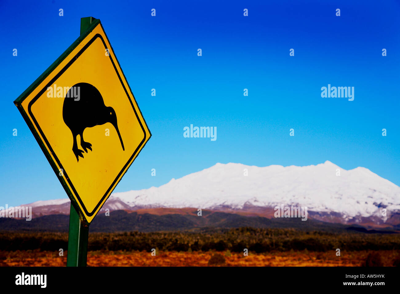 Kiwi traffic sign with mount Ngauruhoe in the background at Tongariro national park Stock Photo