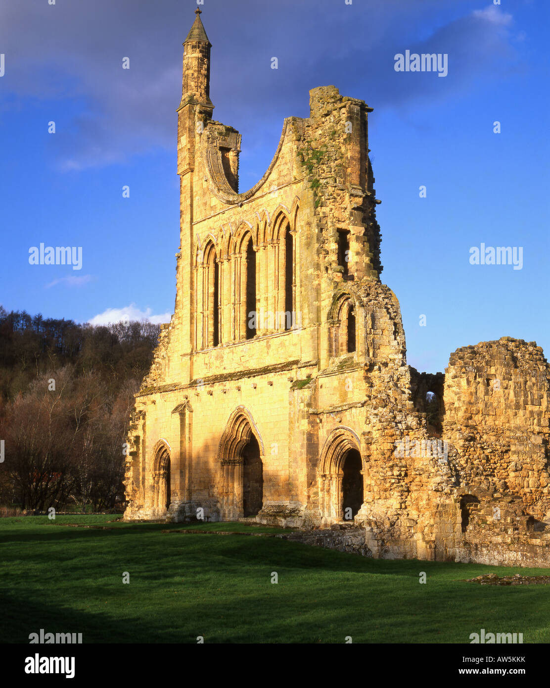 Byland Abbey, near Coxwold, North Yorkshire, England, UK. Stock Photo