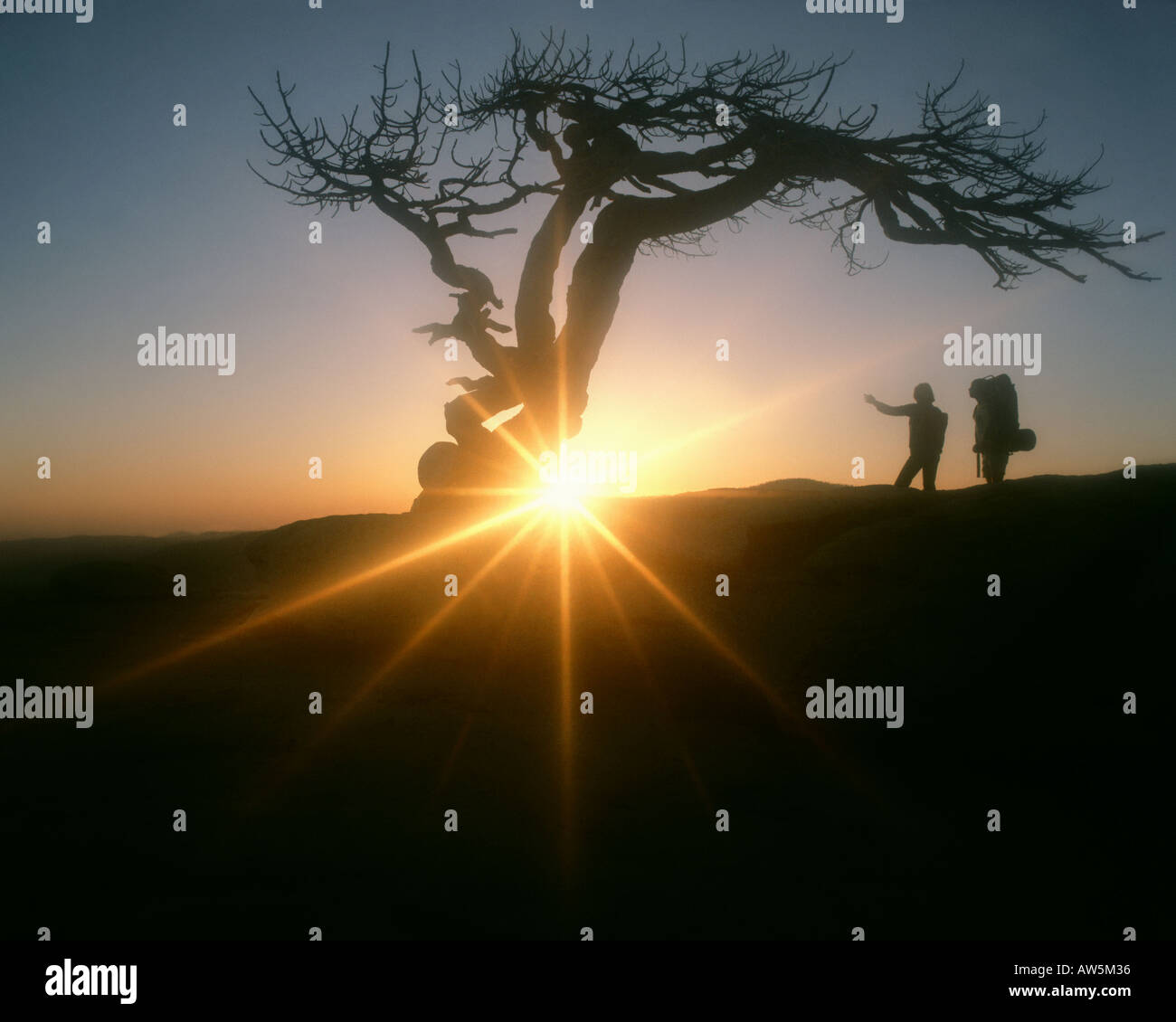 Sentinel 2 image hi-res stock photography and images - Alamy