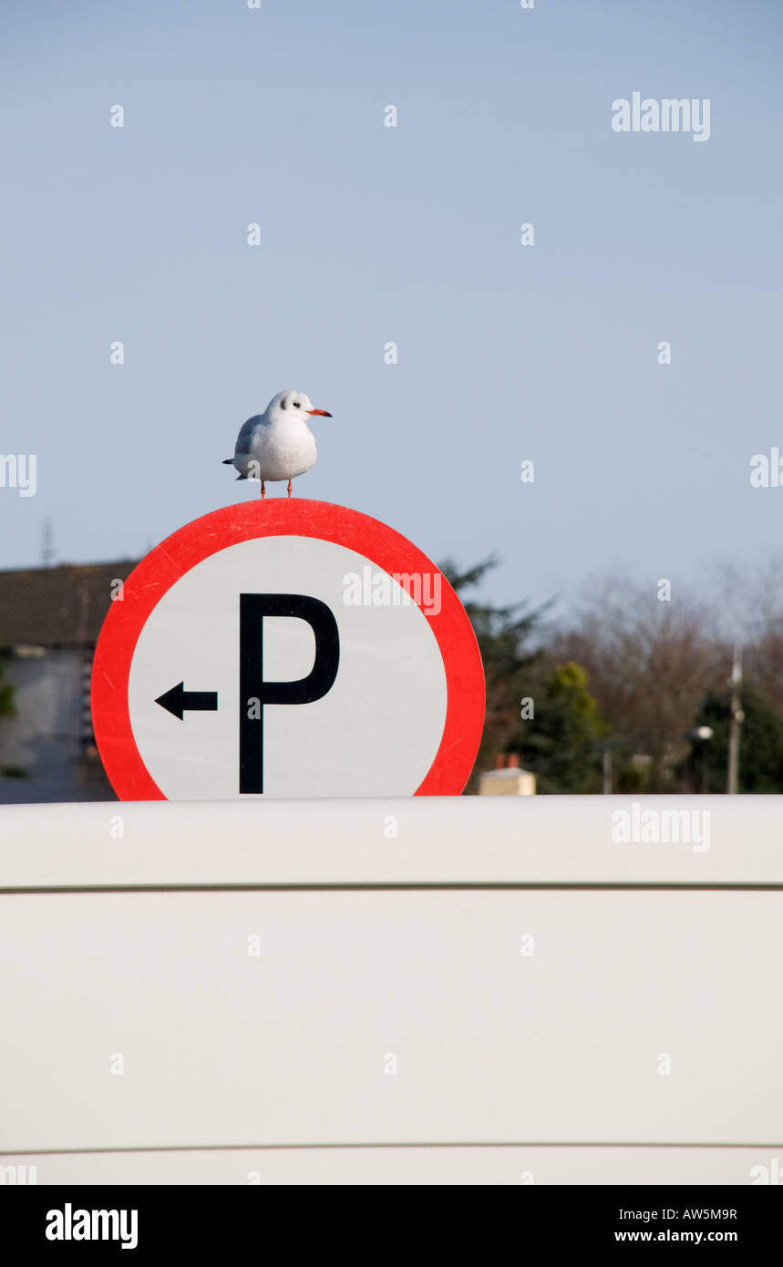 Cork co cork ireland sign hires stock photography and images Alamy