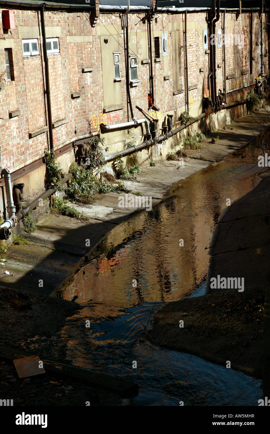The River Quaggy, trapped behing old Victorian shops on  Lee High Road, Lewisham Stock Photo