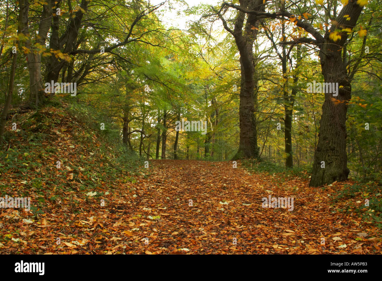 Chopwell tyne and wear hires stock photography and images Alamy