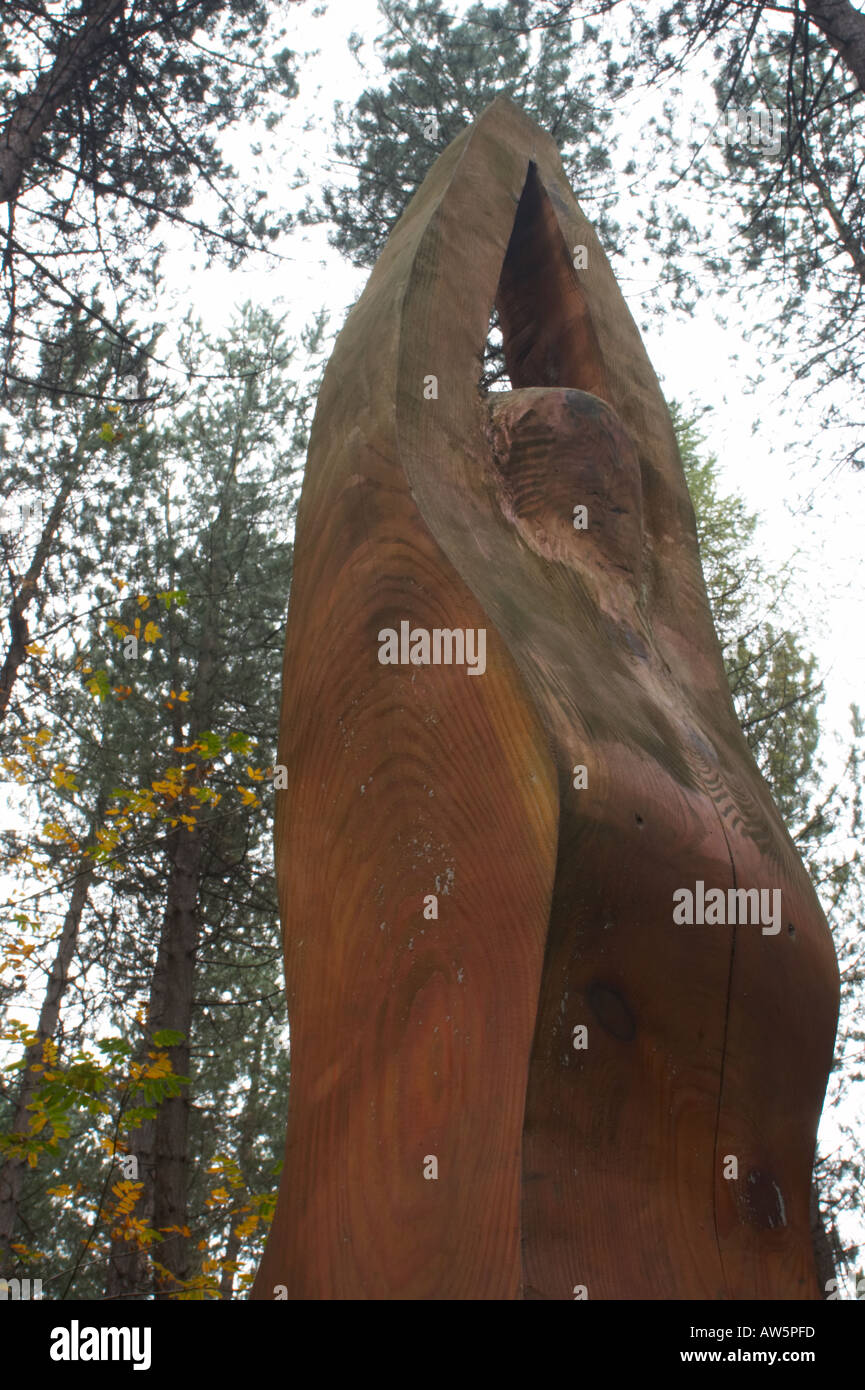 wooden-sculpture-woodland-forest-landscape-outdoors-art-hi-res-stock