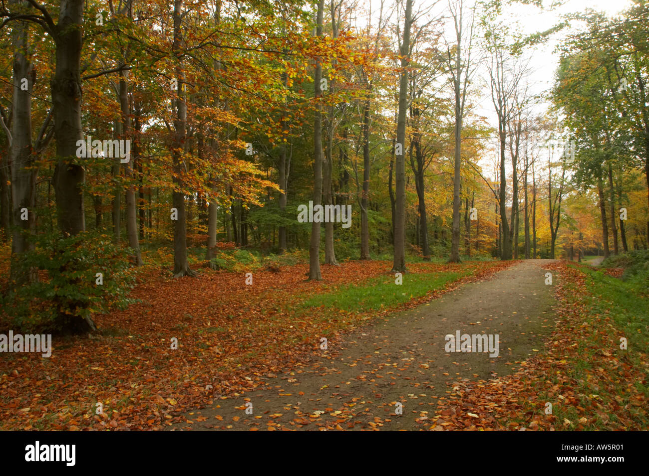Chopwell tyne and wear hires stock photography and images Alamy
