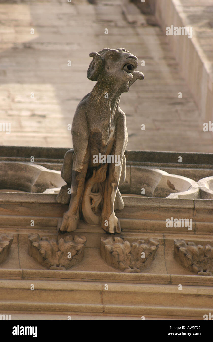 Gargoyle from Lyon France Stock Photo Alamy