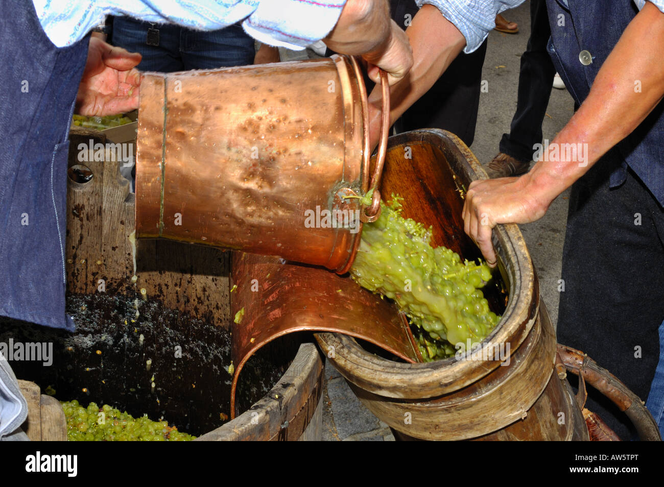 Grapes being taken to the wine press Stock Photo Alamy