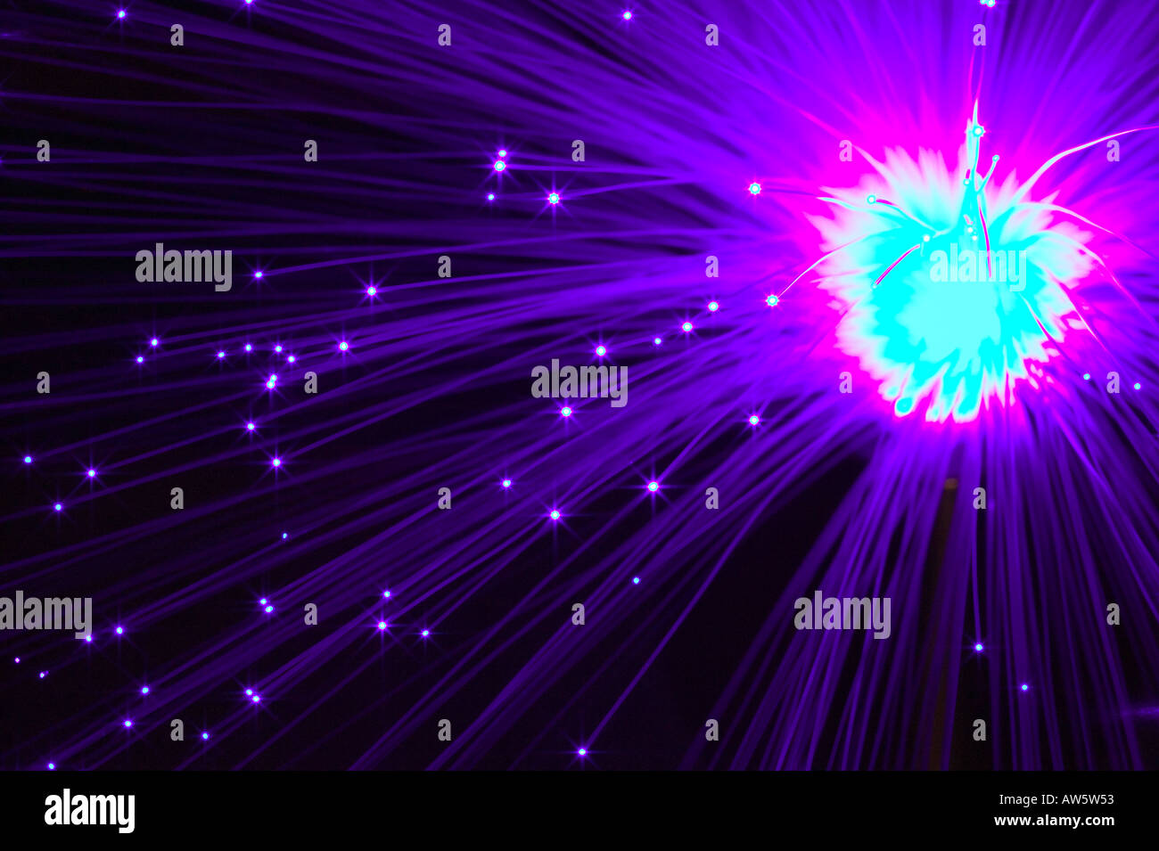 a fibre optic lamp Stock Photo Alamy