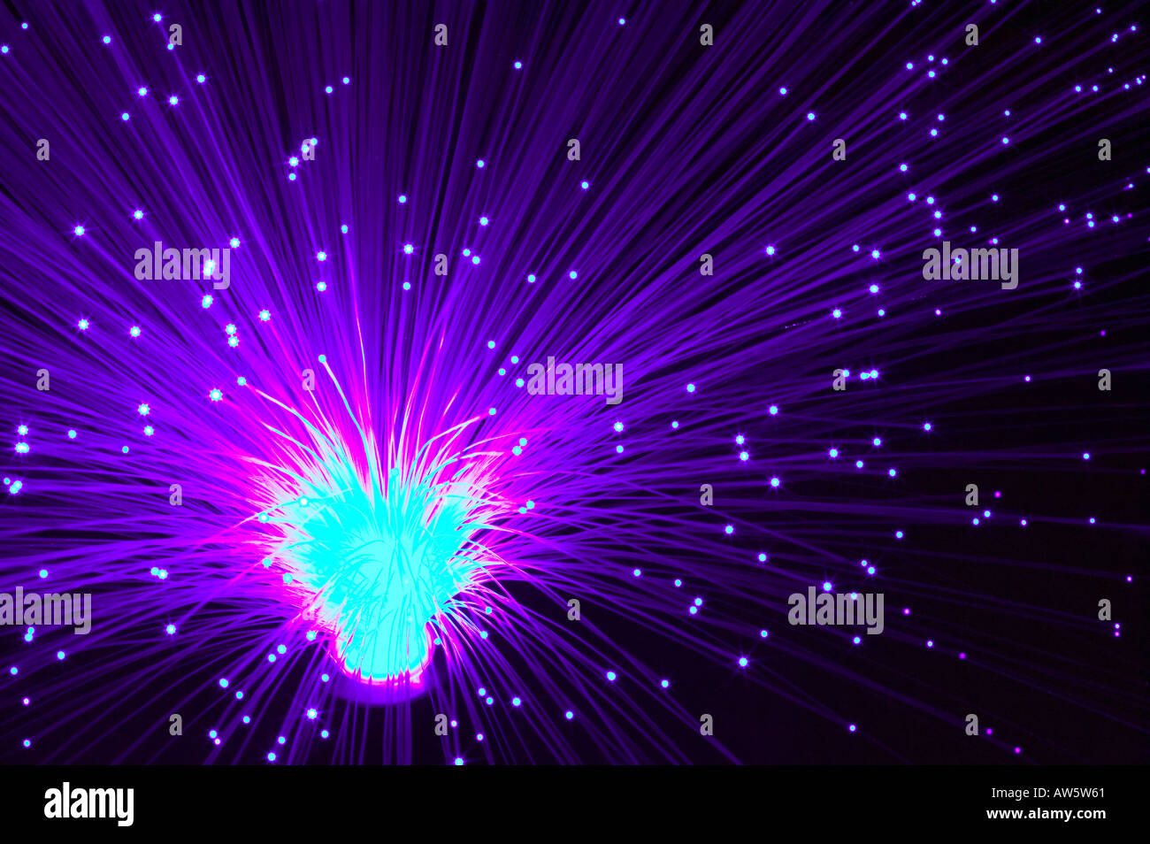 a fibre optic lamp Stock Photo Alamy