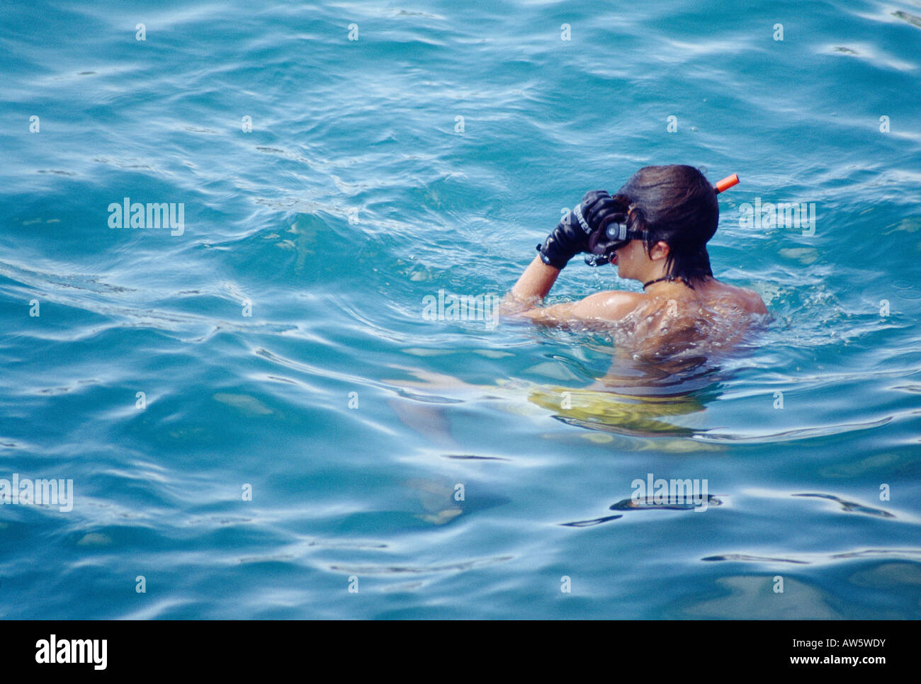 Young man diving in the sea surface. Benidorm. Alicante province. Comunidad Valenciana. Spain. Stock Photo