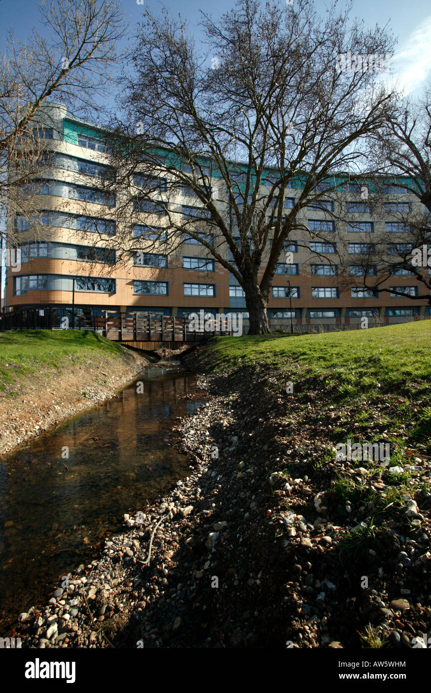 Riverside Building, Lewisham Hospital, shot from Ladywell Fields