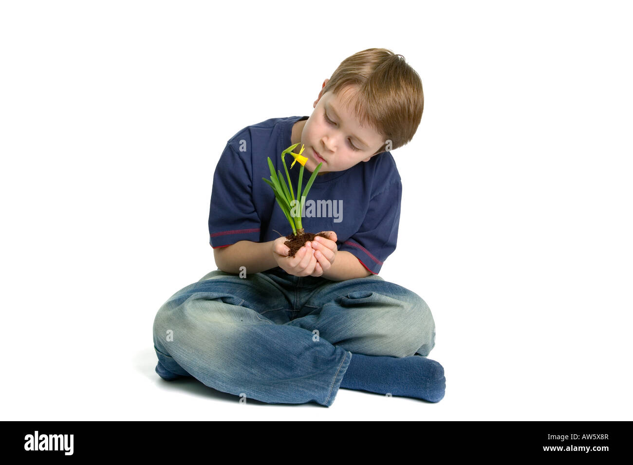 A young boy sat crossed legs looking at a daffodil he s holding in his hands shot against a white background Stock Photo